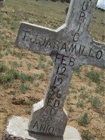 T J Jaramillo