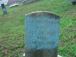 T. J. Nicholson