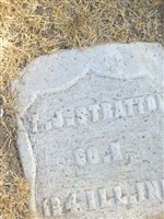 T J Stratton