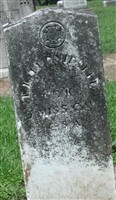 T. L. Turnipseed