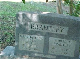 Tobias B Brantley