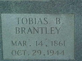 Tobias B Brantley