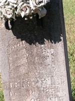 Tobias M Eller