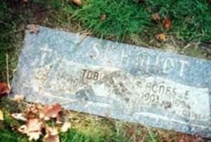 Tobias Schmidt