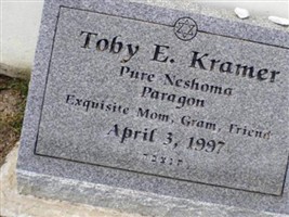 Toby E. Kramer