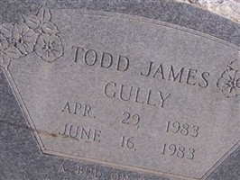 Todd James Gully Todd James Gully
