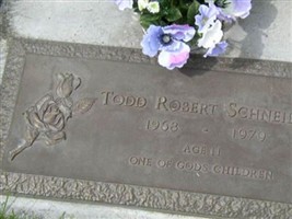Todd Robert Schneider Todd Robert Schneider