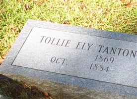 Tollie Ely Tanton