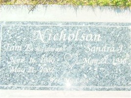 Tom E Nicholson