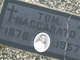 Tom Naccarato