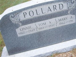 Tom Pollard
