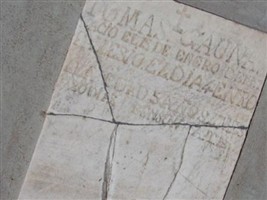 Tomas C Gauna