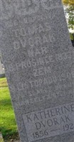 Tomas Dvorak