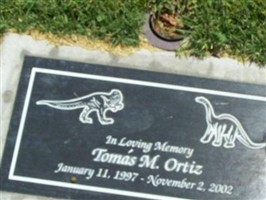 Tomas M Ortiz