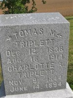 Tomas M Triplett