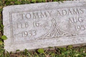 Tommy Adams Tommy Adams