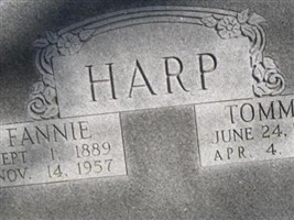 Tommy Harp