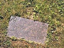 Toni Ann Taylor