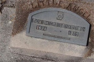 Toni Michele Dowling