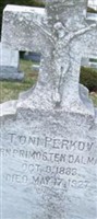 Toni Peekov Toni Peekov