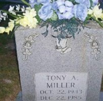 Tony A Miller Tony A Miller