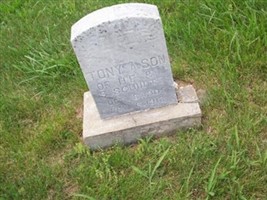 Tony A. Schiult