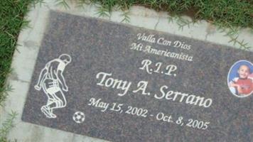Tony A. Serrano
