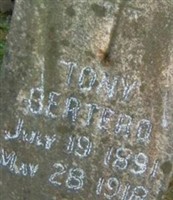 Tony Bertero