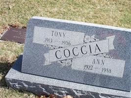 Tony Coccia