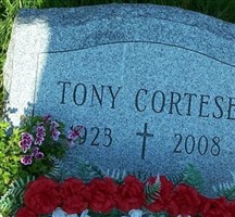 Tony Cortese