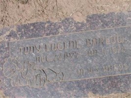 Tony Eugene Barlow