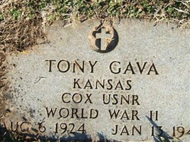 Tony Gava