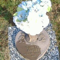 Tony Lee Maples Tony Lee Maples