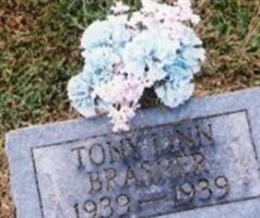 Tony Linn Brasher
