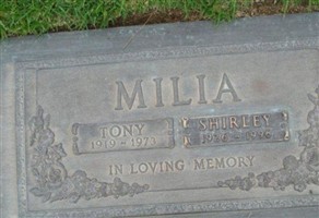 Tony Milia