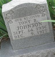 Tony R. johnson