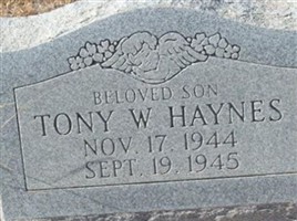 Tony W. Haynes Tony W. Haynes