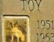 Toy Dog Bloze