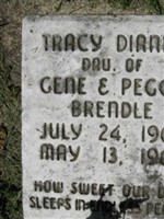 Tracy Dianne Brendle