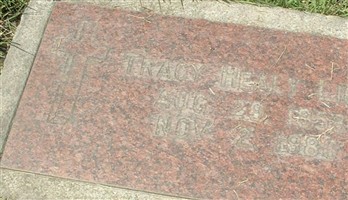Tracy Healy Licon