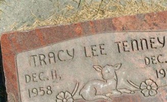 Tracy Lee Tenney