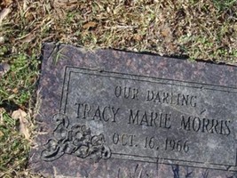 Tracy Marie Morris