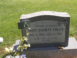 Trent Everett Calico Trent Everett Calico