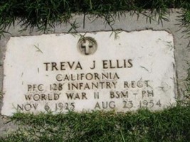 Treva J. Ellis