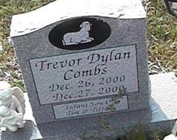 Trevor Dylan Combs
