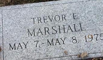 Trevor E. Marshall