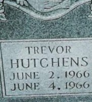 Trevor Hutchens