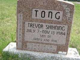 Trevor Shihning Tong