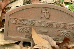 Trevor Todd Walsh
