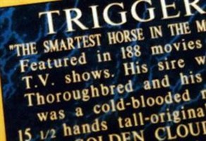 Trigger Trigger